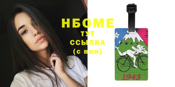 индика Верея