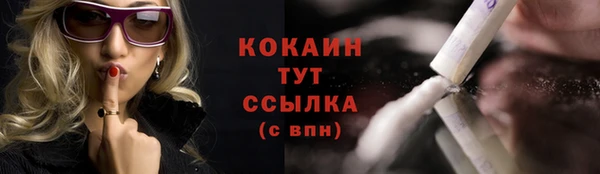 индика Верея