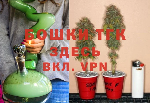 индика Верея