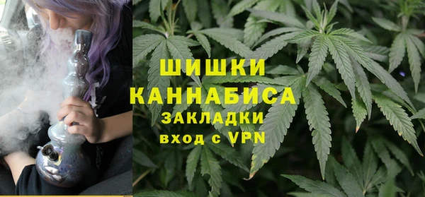 индика Верея