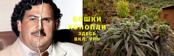 прущие крисы Дмитриев