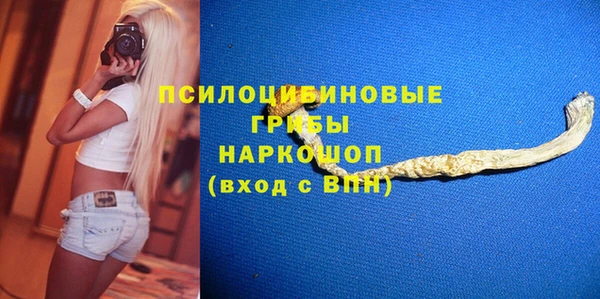 дмт Гусь-Хрустальный