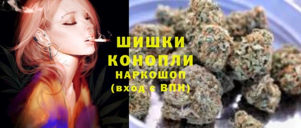 индика Верея