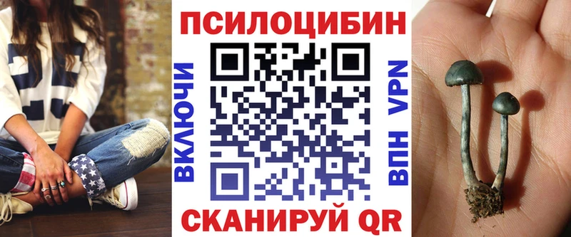 Псилоцибиновые грибы мухоморы  Купить  Кологрив 