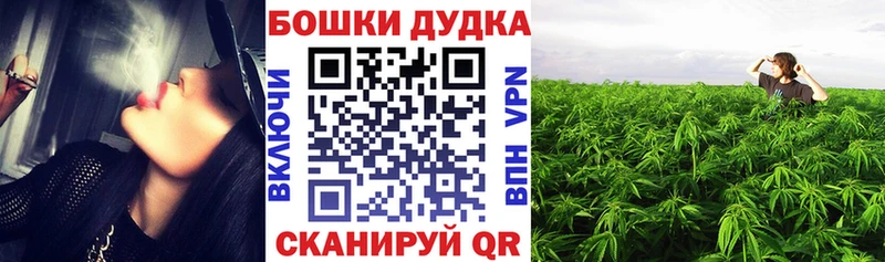 Канабис SATIVA & INDICA  Купить  Кологрив 